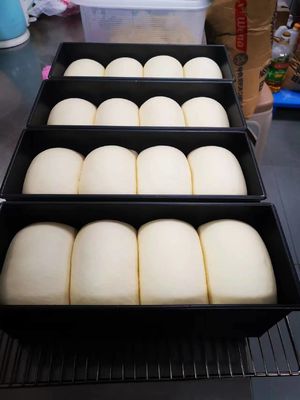 یاسور 40 سینی ریچ این نوع خمیر پیتزا 40X60cm 2kw ایرواش نوع بخارشوی ژنراتور
