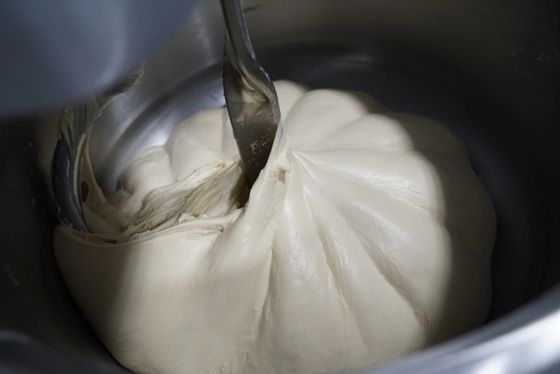 خمیر گیر مارپیچ 4.5 کیلوواتی دو سرعته دوغ میکسر استیل ضد زنگ 50 کیلویی با توری کاسه ای